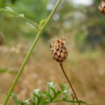 Szexuális fantáziák - miért teljesen normálisak
