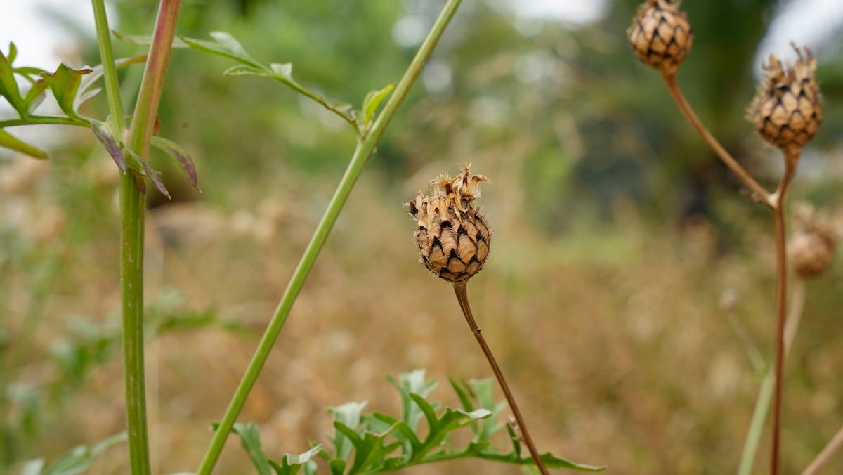 Szexuális fantáziák - miért teljesen normálisak