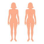Női test anatómiai illusztráció elölnézetből és hátulnézetből