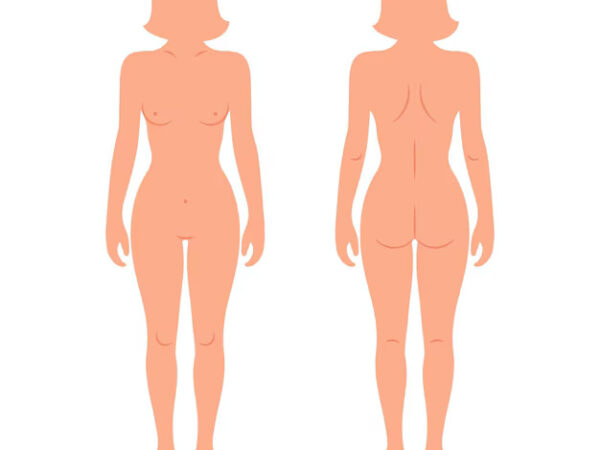 Női test anatómiai illusztráció elölnézetből és hátulnézetből