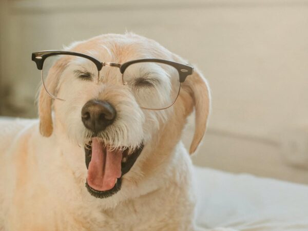 Érett pár intim pillanata - szex 40 felett útmutató