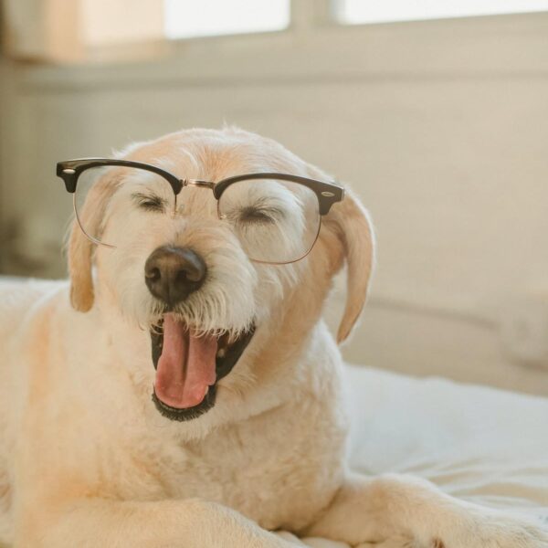 Érett pár intim pillanata - szex 40 felett útmutató